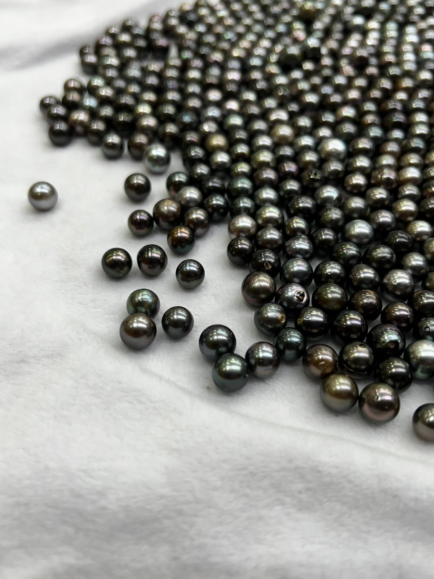 Perles de Tahiti fraîchement récoltés, triés chez le fournisseur de Sara à Papeete – perles brutes et naturelles