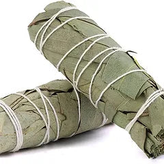 Fagot d’Eucalyptus – Rituel sacré | Purification & Énergie fraîche