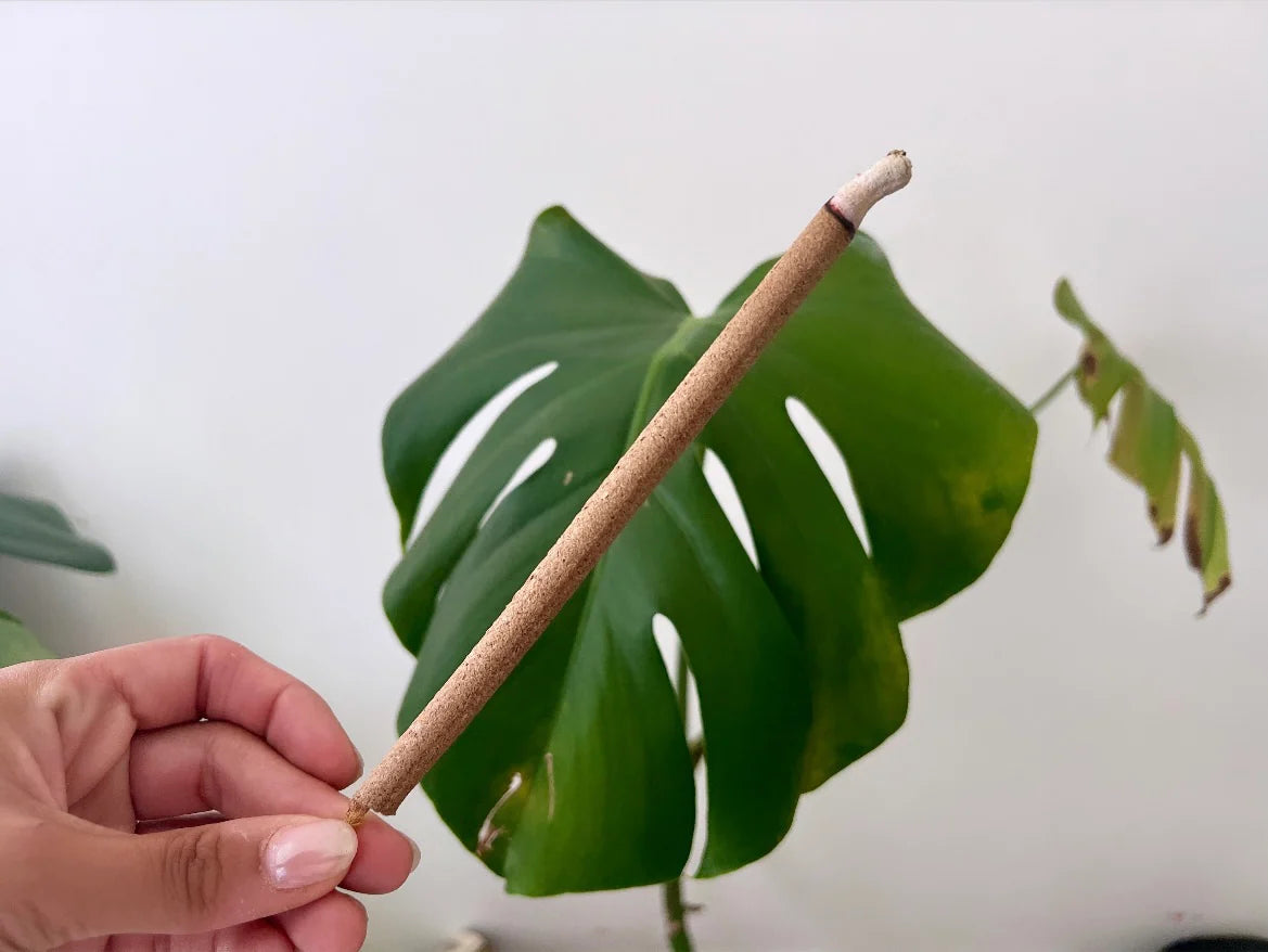 Encens naturels – Lot de 5 bâtons | Palo Santo & Plantes sacrées