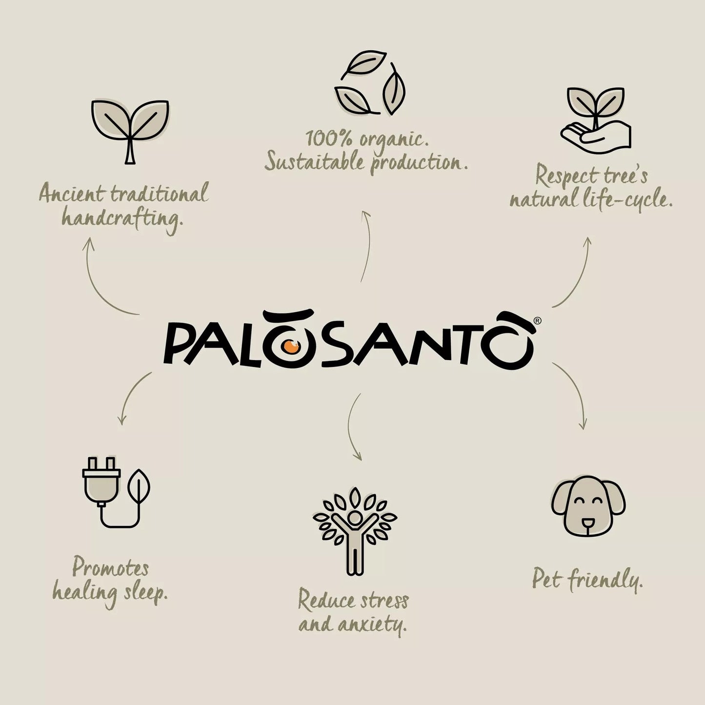 Encens naturels – Lot de 5 bâtons | Palo Santo & Plantes sacrées