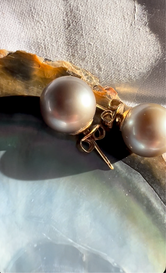 Boucles d’oreilles en perles de Tahiti sur fond de coquillage nacré – création précieuse et intemporelle